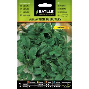 SOBRE BTLL VALERIANA (VERTE D LOUVIERS)