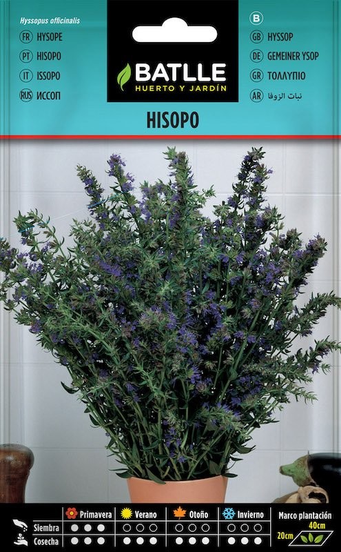 SOBRE BTLL HISOPO (HYSOPUS OFFICINALIS)