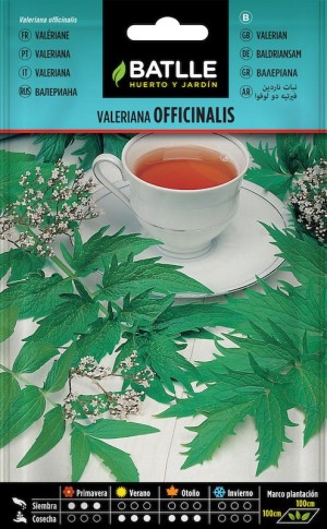 SOBRE BTLL VALERIANA OFFICINALIS