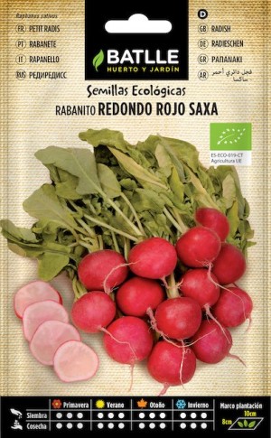 SOBRE BTLL RABANITO RED (ROJO SAXA) - ECO