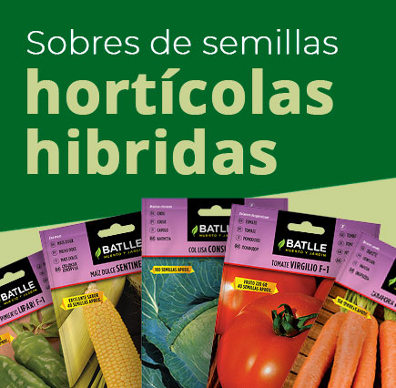 Semillas hortícolas híbridas