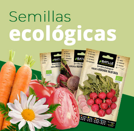 Semillas ecológicas