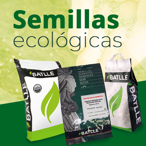 Semillas ecológicas