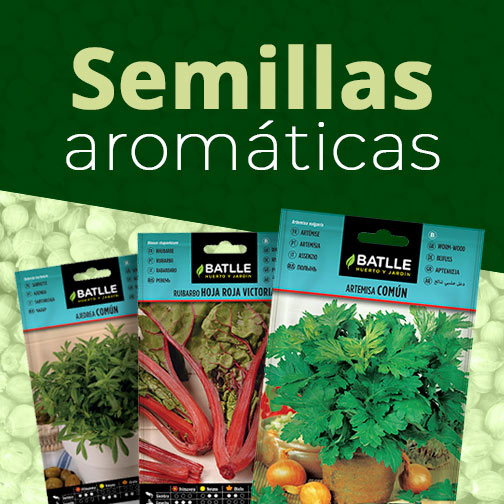 Semillas aromáticas